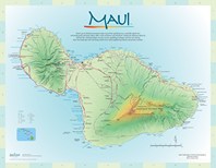 (Maui Island)